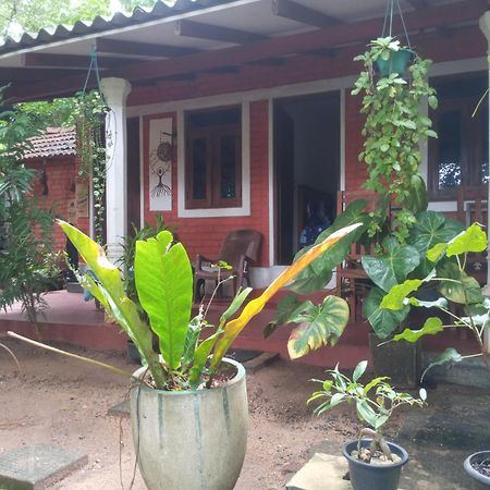 הבאראנה Angry Birds Homestay חדר תמונה