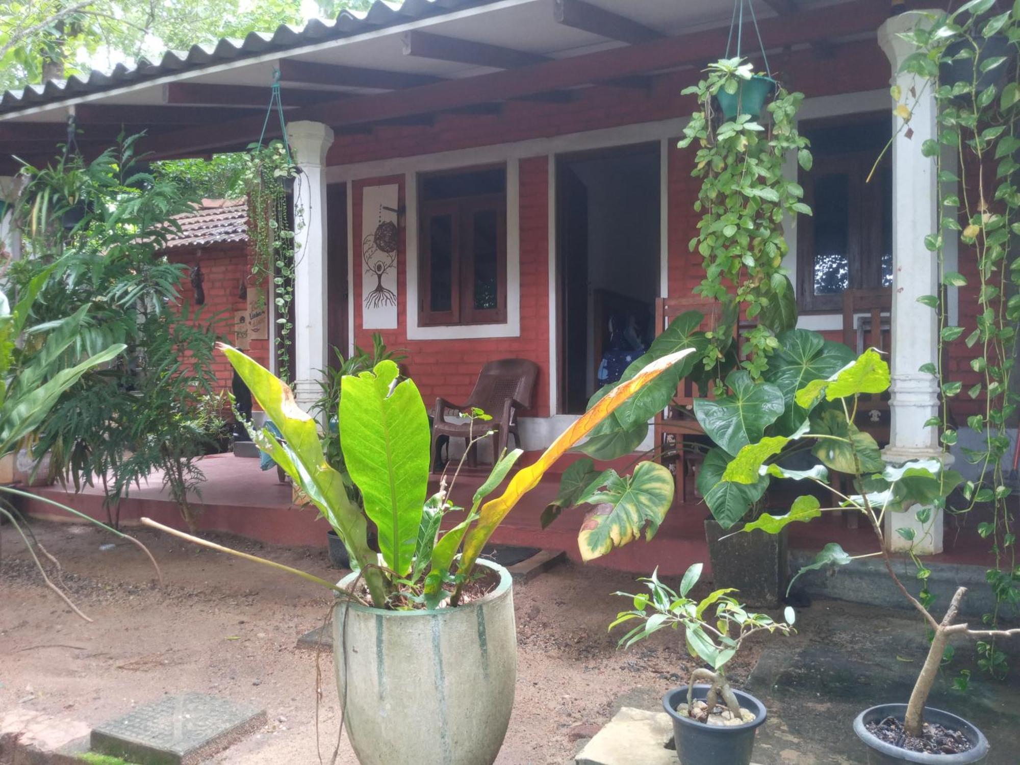 הבאראנה Angry Birds Homestay חדר תמונה